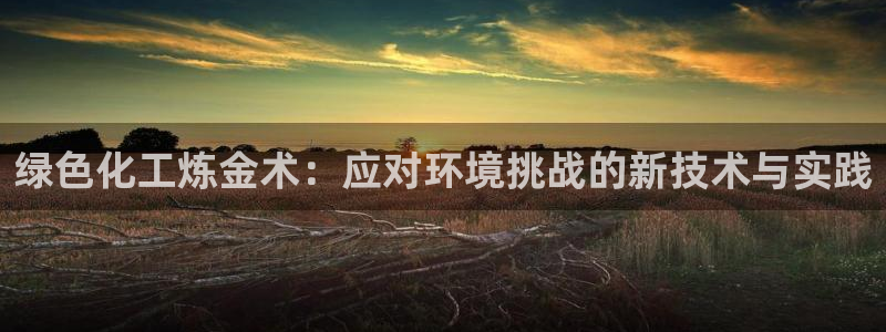 亿万先生客服：绿色化工炼金术：应对环境挑战的新技术与实践