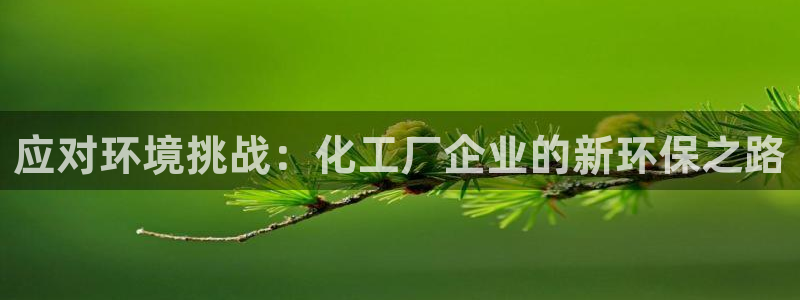 亿万先生网红：应对环境挑战：化工厂企业的新环保之路