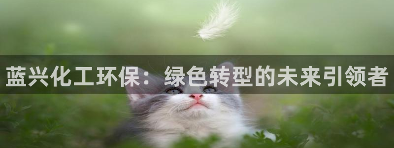 亿万网友在线实时为你解答：蓝兴化工环保：绿色转型的未来引领者