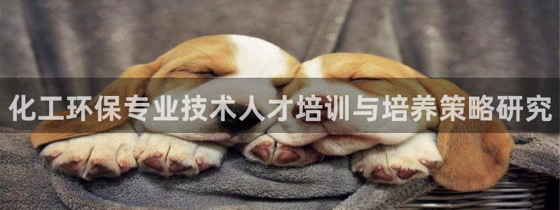 亿万乐购生活超市：化工环保专业技术人才培训与培养策略研究