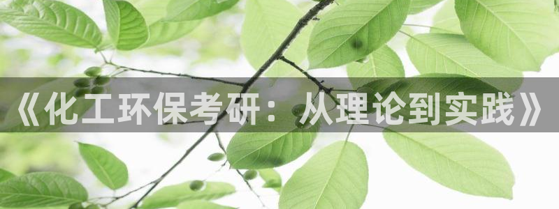亿万先生客服联系方式：《化工环保考研：从理论到实践》
