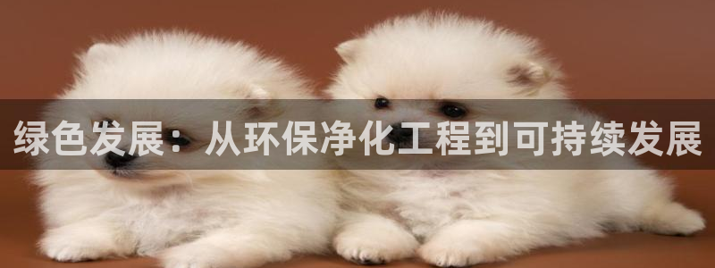 亿万网络科技有限公司：绿色发展：从环保净化工程到可持续发展