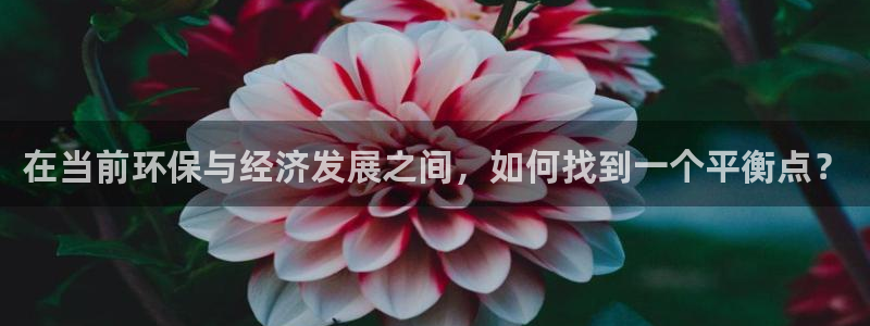 亿万先生mr008：在当前环保与经济发展之间，如何找到一个平衡点？