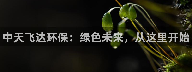 亿万国际游戏官网：中天飞达环保：绿色未来，从这里开始