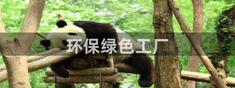 亿万啥意思：环保绿色工厂