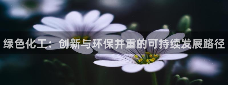 亿万国际：绿色化工：创新与环保并重的可持续发展路径