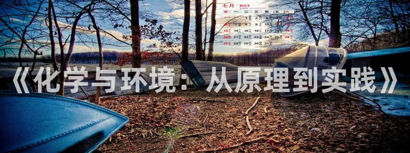 亿万先生合并网址是多少：《化学与环境：从原理到实践》