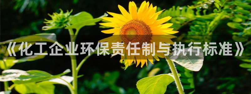 亿万先生手机网：《化工企业环保责任制与执行标准》