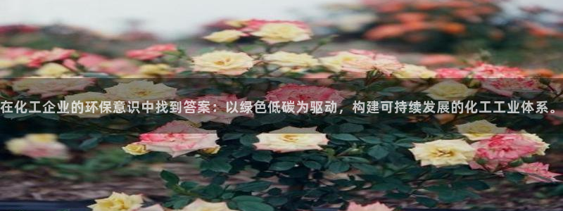 亿万网友在线实时为您解答问题：在化工企业的环保意识中找到答案：以绿色低碳为驱动，构建可持续发展的化工工业体系。