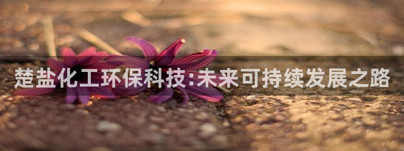 亿万官网：楚盐化工环保科技:未来可持续发展之路