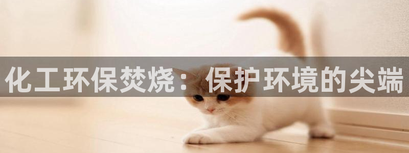 亿万先生mr008cc官网：化工环保焚烧：保护环境的尖端