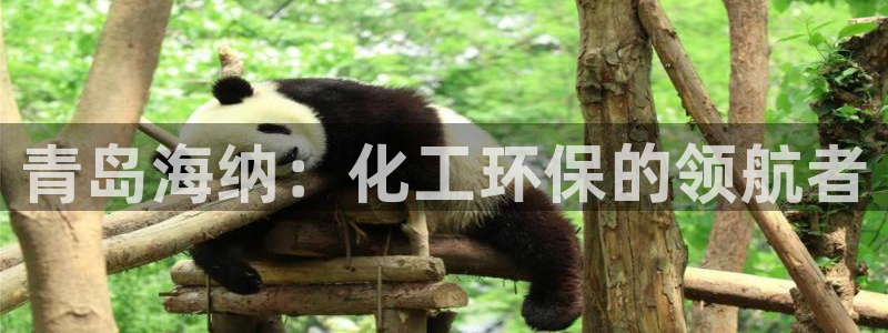 亿万先生手机版入口在哪下载：青岛海纳：化工环保的领航者