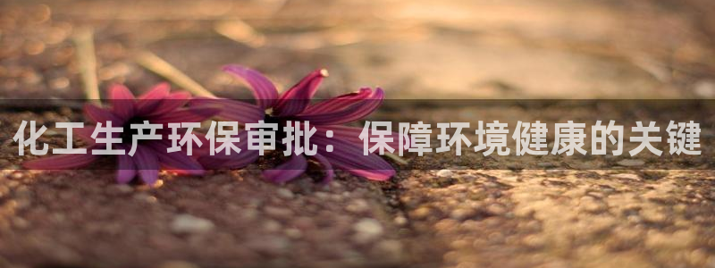 亿万先生合并最新消息：化工生产环保审批：保障环境健康的关键