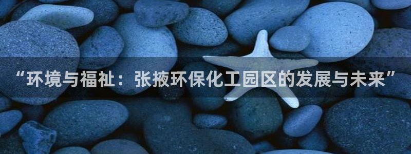 亿万网络科技有限公司：“环境与福祉：张掖环保化工园区的发展与未来”