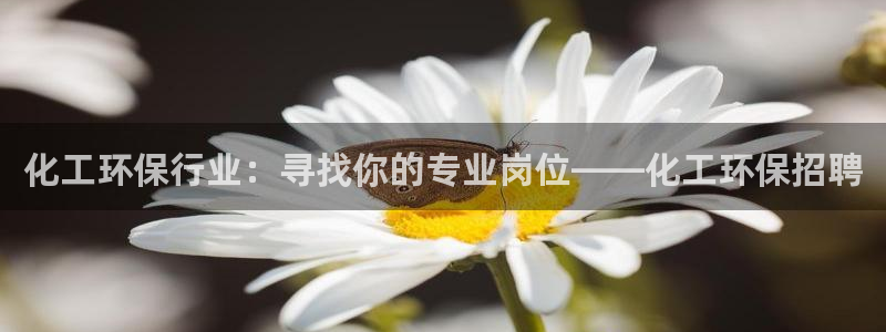 亿万先生 手机版下载安装：化工环保行业：寻找你的专业岗位——化工环保招聘
