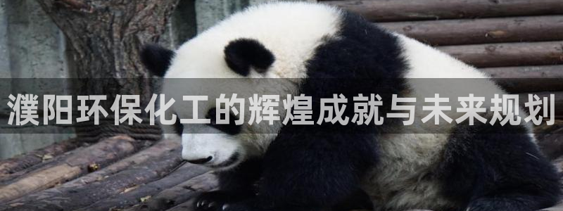 亿万百度吧：濮阳环保化工的辉煌成就与未来规划