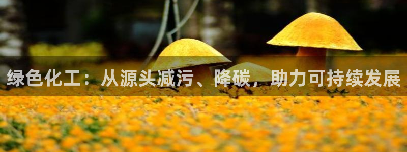 亿万先生手机网