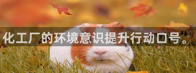 亿万先生手机网页