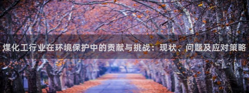 mr8001亿万先生：煤化工行业在环境保护中的贡献与挑战：现状、问题及应对策略