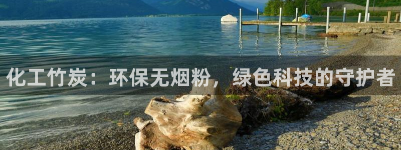 mr8001亿万先生：化工竹炭：环保无烟粉，绿色科技的守护者