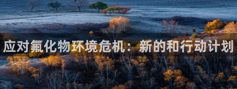 电视剧亿万：应对氟化物环境危机：新的和行动计划