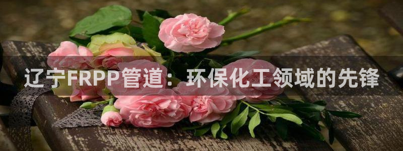亿万先生手机版客户端下载安装：辽宁FRPP管道：环保化工领域的先锋