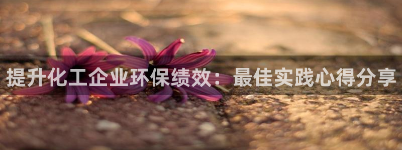 亿万先生官方网站首页:提升化工企业环保绩效:最佳实践心得分享