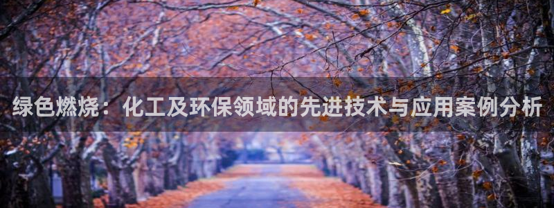 亿万先生换网址了吗知乎：绿色燃烧：化工及环保领域的先进技术与应用案例分析